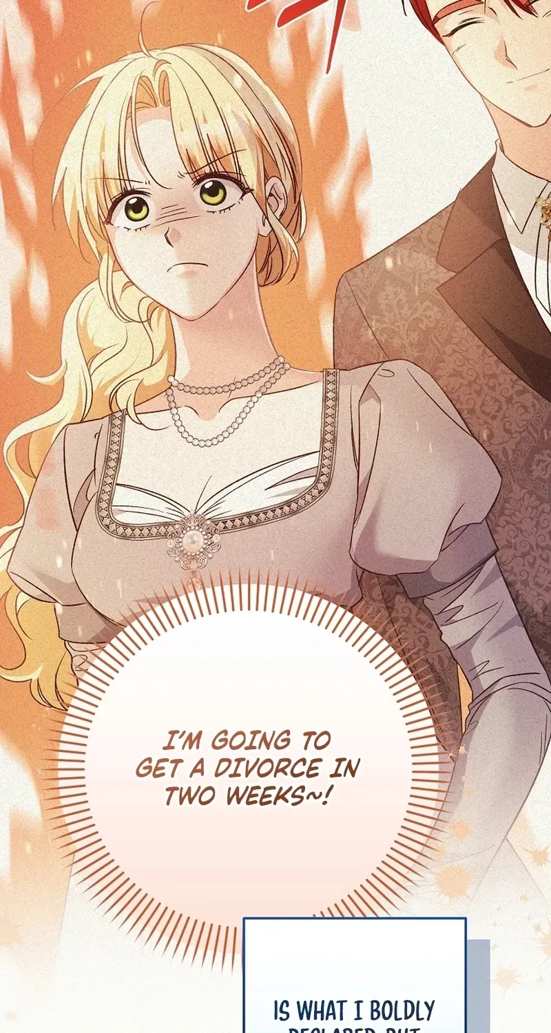 I Want a Divorce, Please Stop Obsessing Over Me! Chapter 16 page 2 - 