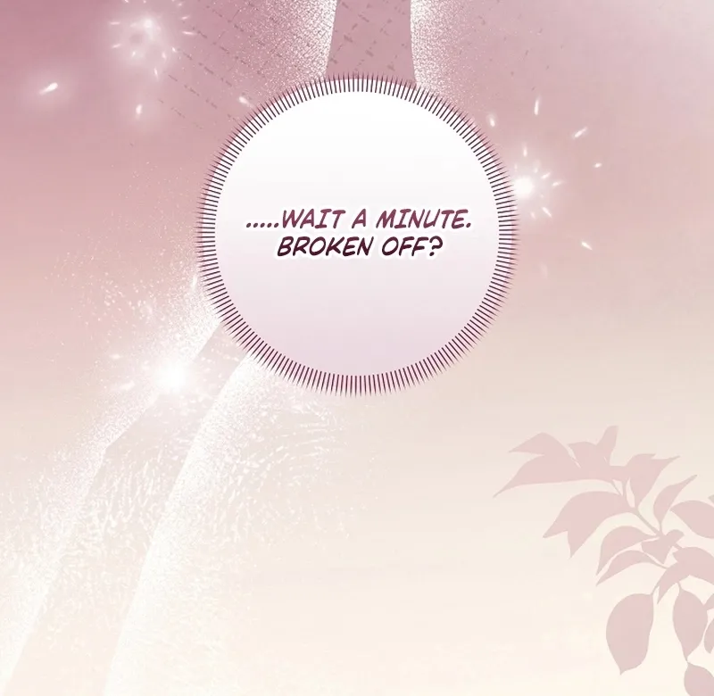 I Want a Divorce, Please Stop Obsessing Over Me! Chapter 16 page 14 - 