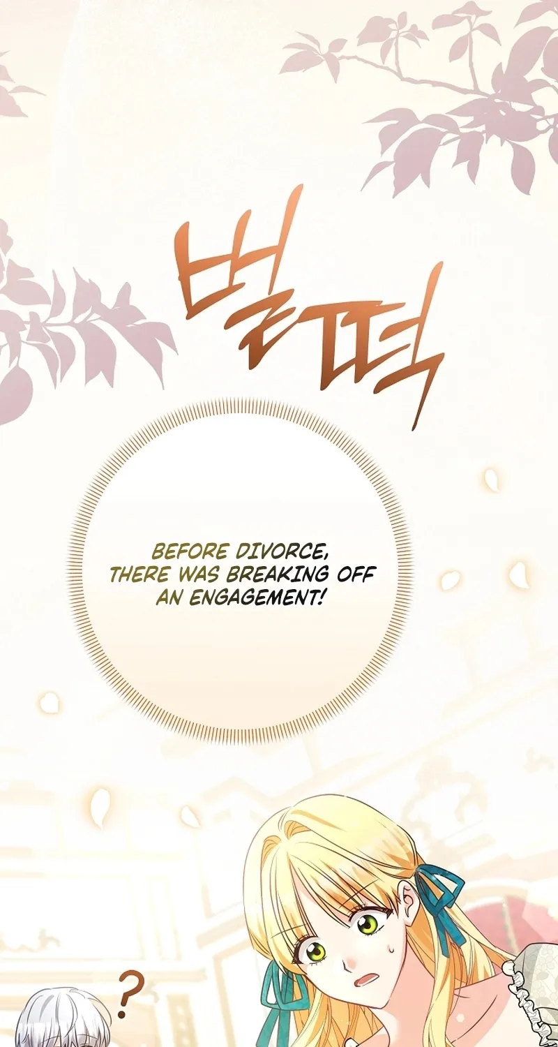 I Want a Divorce, Please Stop Obsessing Over Me! Chapter 16 page 15 - 
