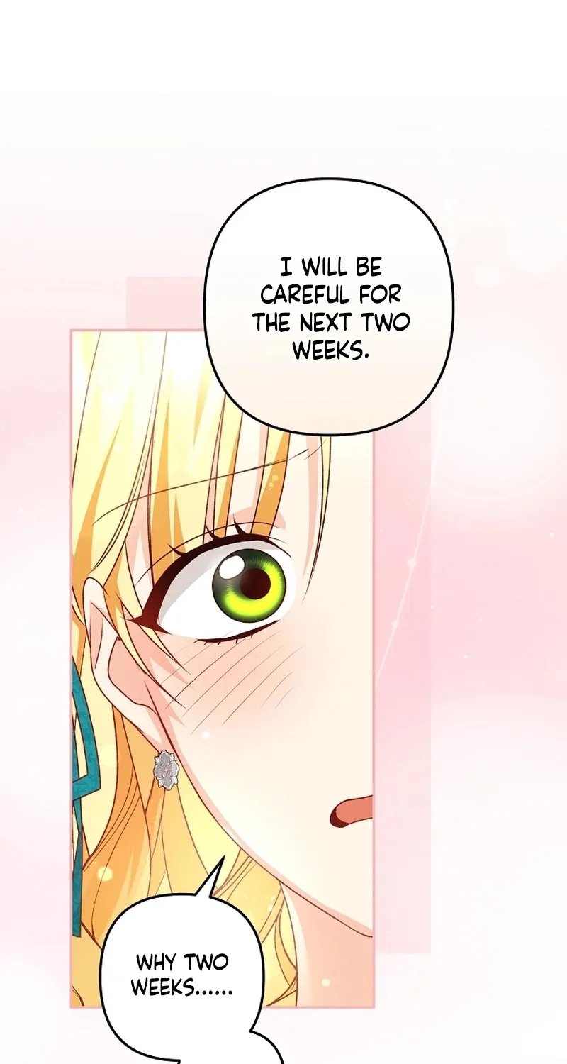 I Want a Divorce, Please Stop Obsessing Over Me! Chapter 16 page 59 - 