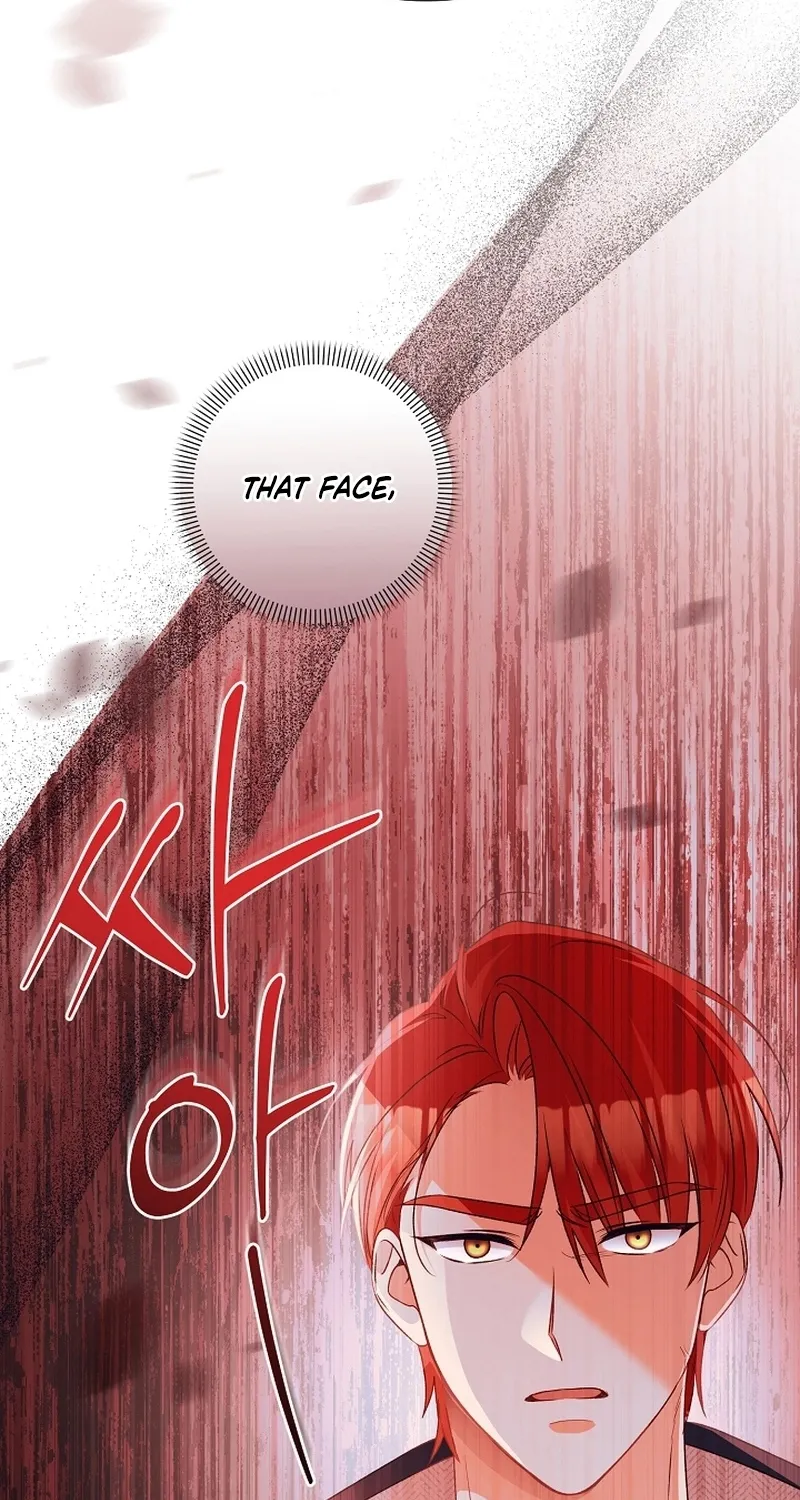 I Want a Divorce, Please Stop Obsessing Over Me! Chapter 16 page 73 - 