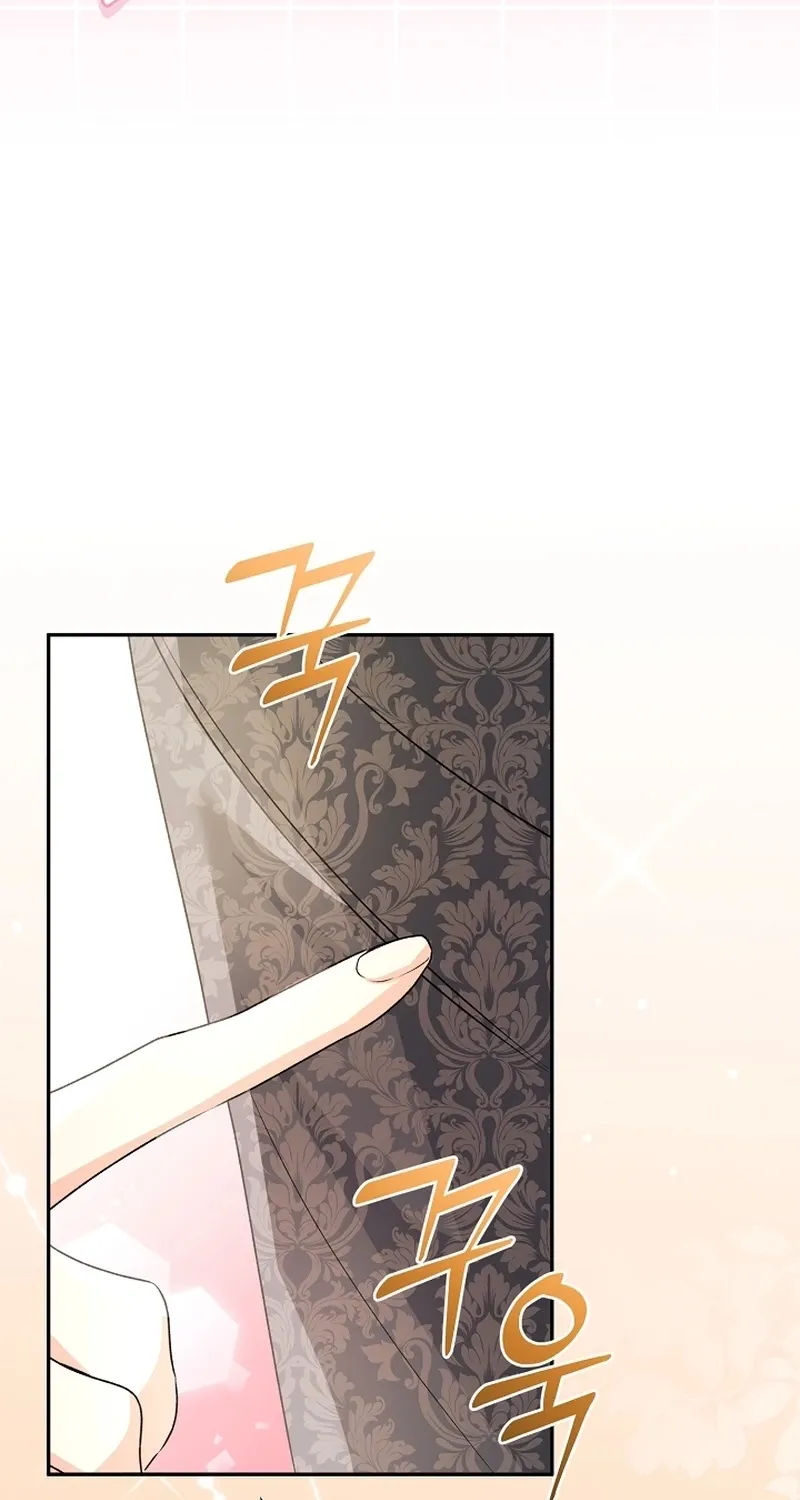 I Want a Divorce, Please Stop Obsessing Over Me! Chapter 17 page 91 - 