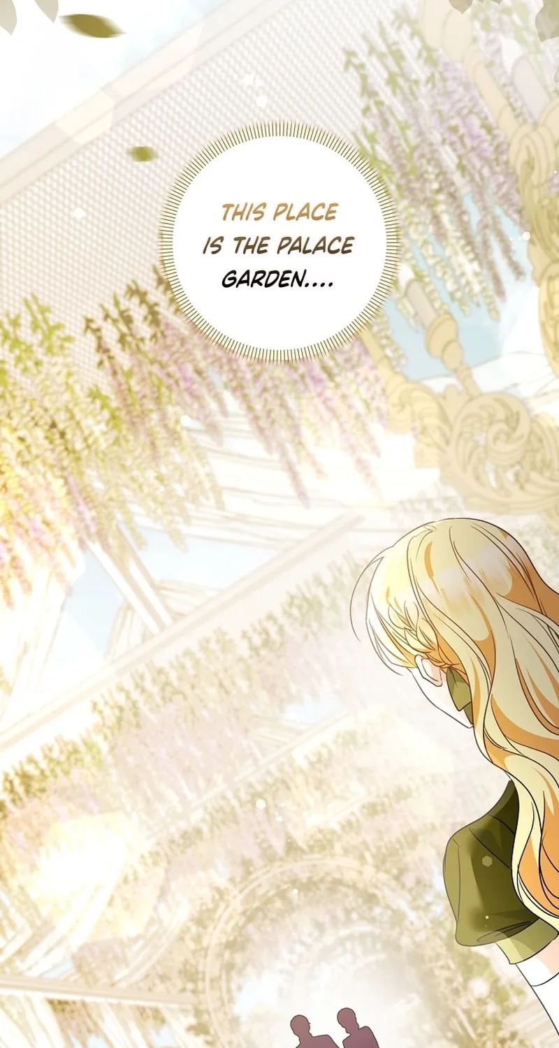 I Want a Divorce, Please Stop Obsessing Over Me! Chapter 18 page 104 - 