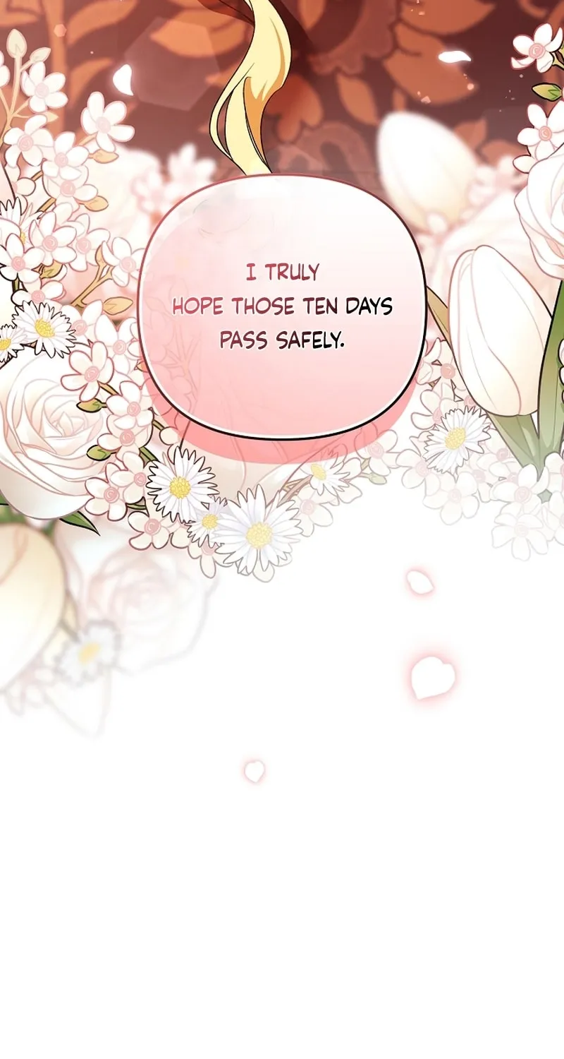 I Want a Divorce, Please Stop Obsessing Over Me! Chapter 18 page 8 - 