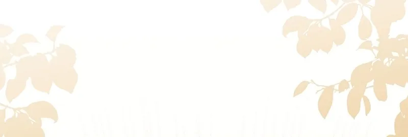 I Want a Divorce, Please Stop Obsessing Over Me! Chapter 19 page 54 - 