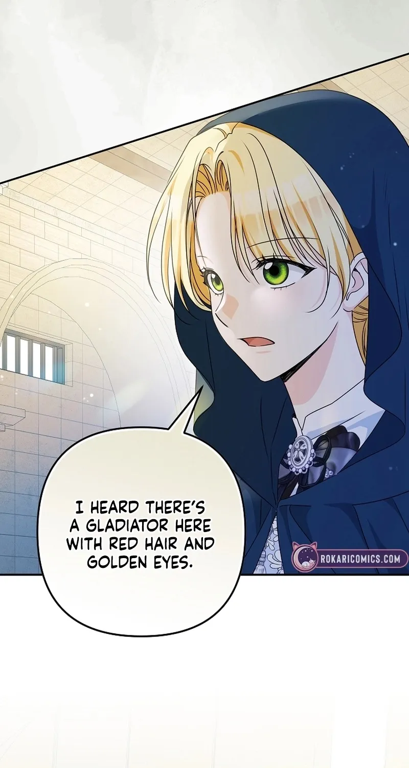 I Want a Divorce, Please Stop Obsessing Over Me! Chapter 2 page 11 - 