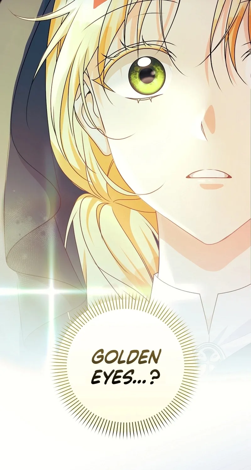 I Want a Divorce, Please Stop Obsessing Over Me! Chapter 2 page 27 - 