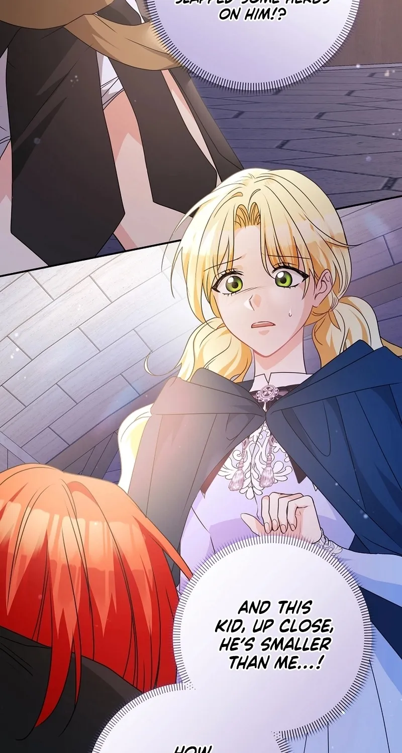 I Want a Divorce, Please Stop Obsessing Over Me! Chapter 2 page 62 - 
