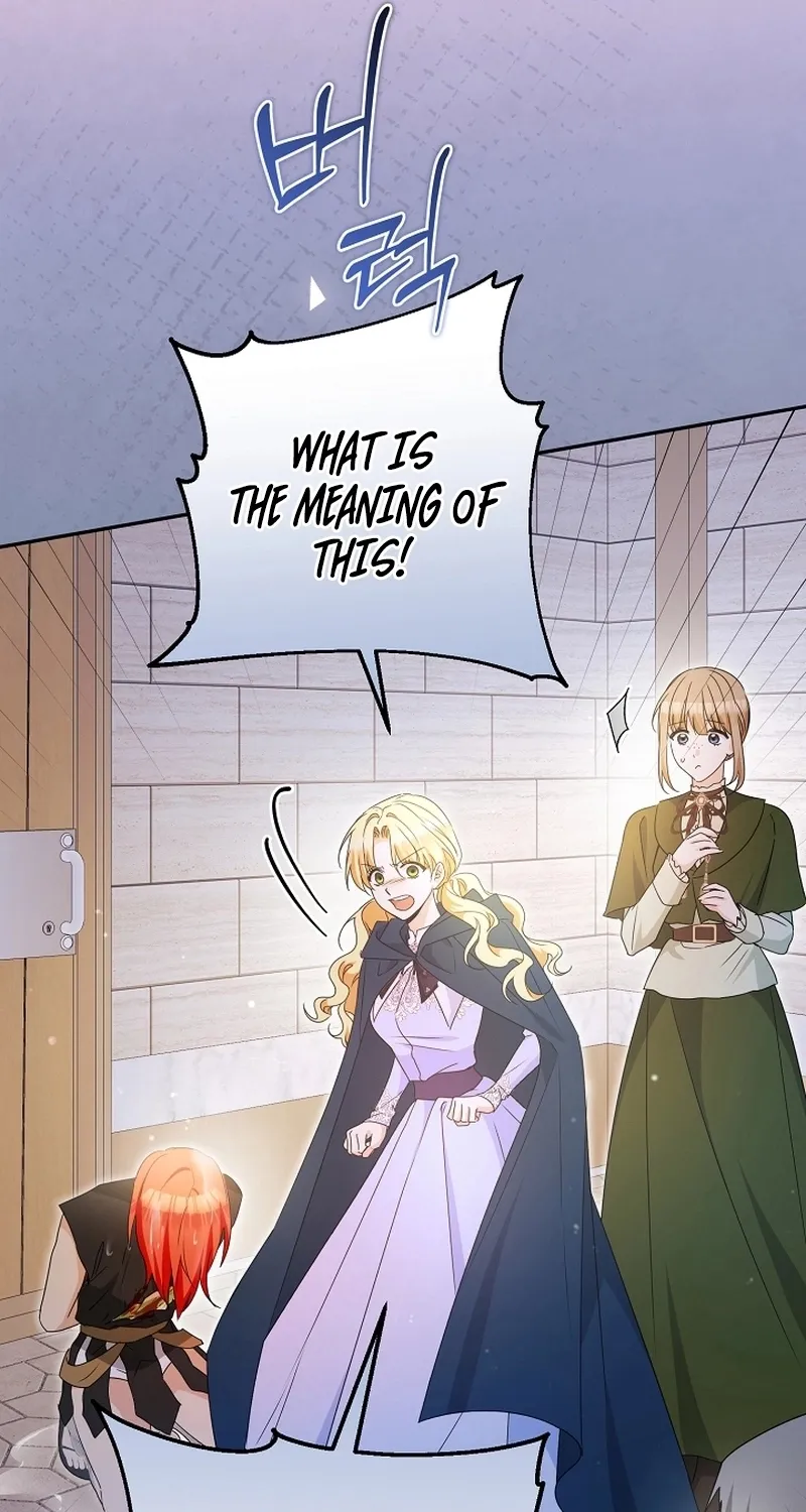 I Want a Divorce, Please Stop Obsessing Over Me! Chapter 2 page 70 - 