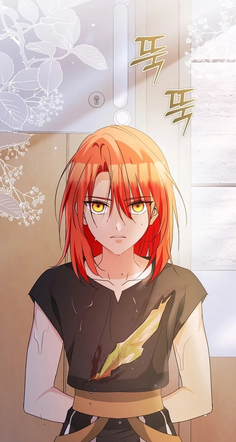 I Want a Divorce, Please Stop Obsessing Over Me! Chapter 2 page 75 - 