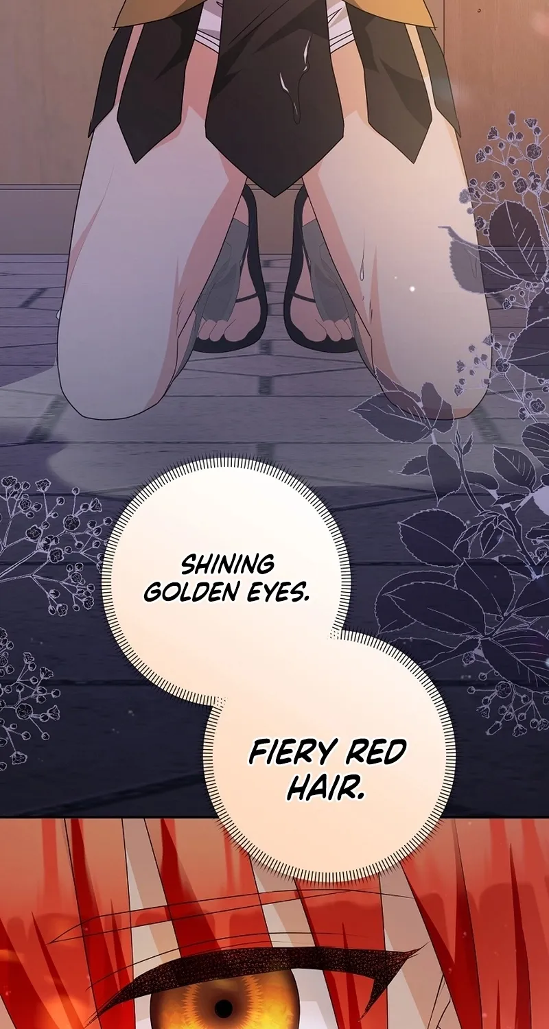 I Want a Divorce, Please Stop Obsessing Over Me! Chapter 2 page 76 - 