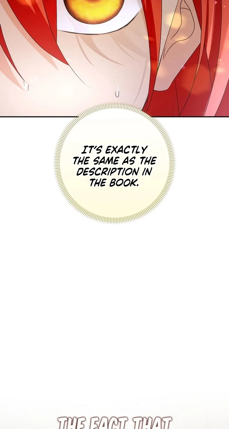 I Want a Divorce, Please Stop Obsessing Over Me! Chapter 2 page 77 - 