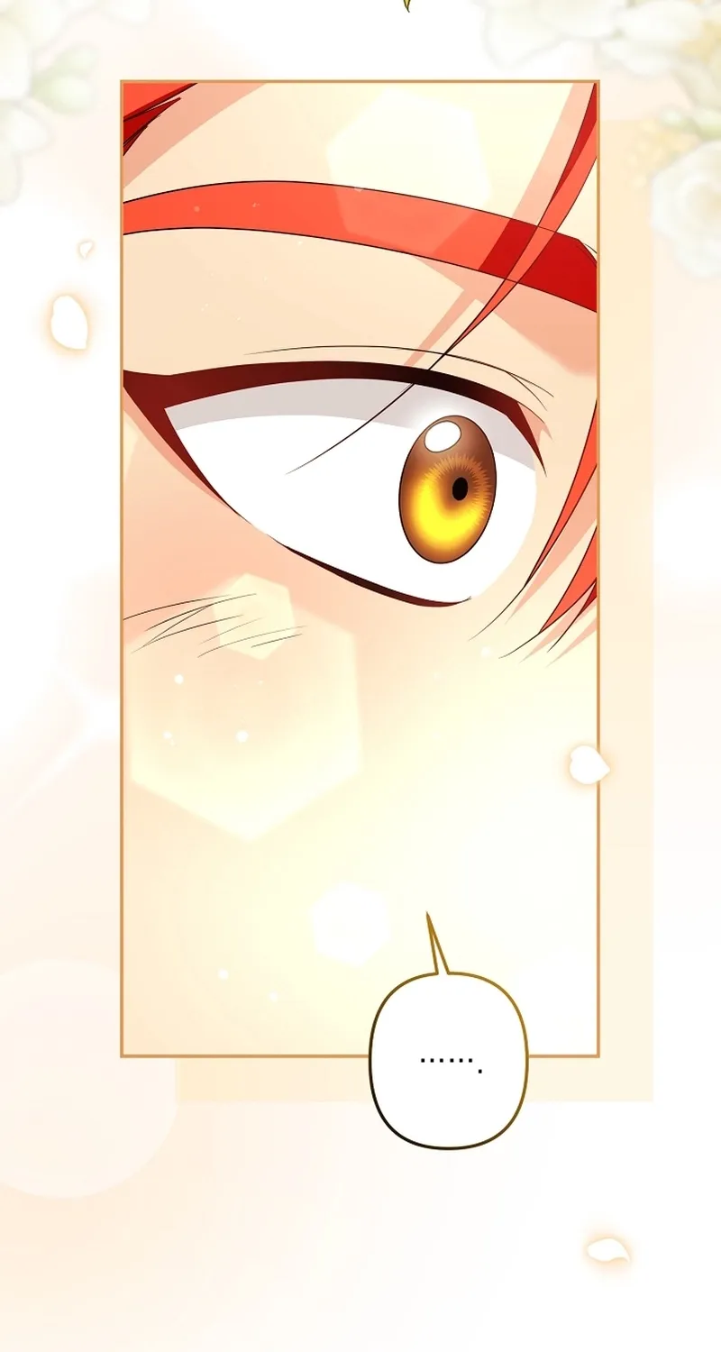 I Want a Divorce, Please Stop Obsessing Over Me! Chapter 20 page 65 - 