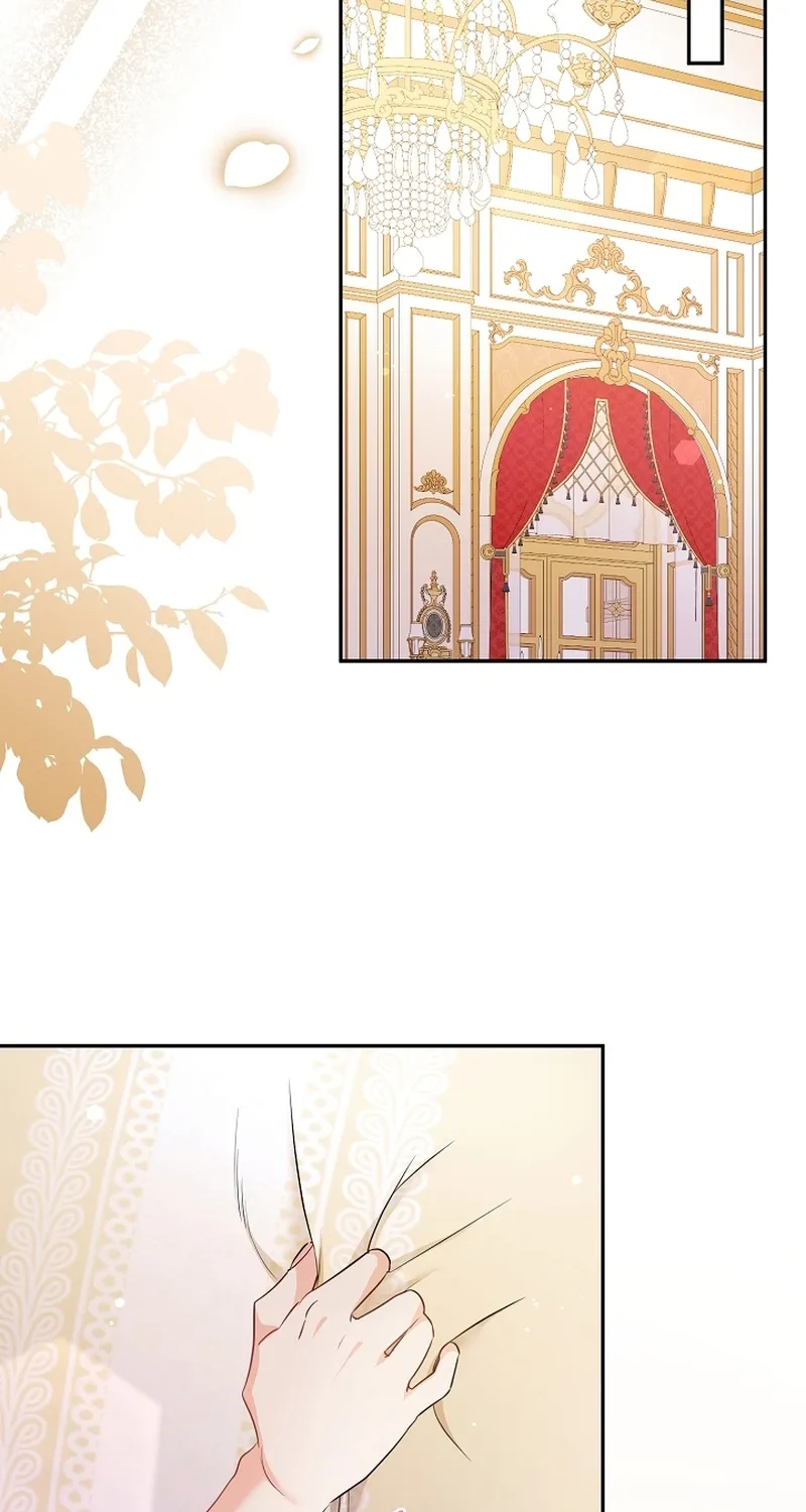 I Want a Divorce, Please Stop Obsessing Over Me! Chapter 20 page 91 - 
