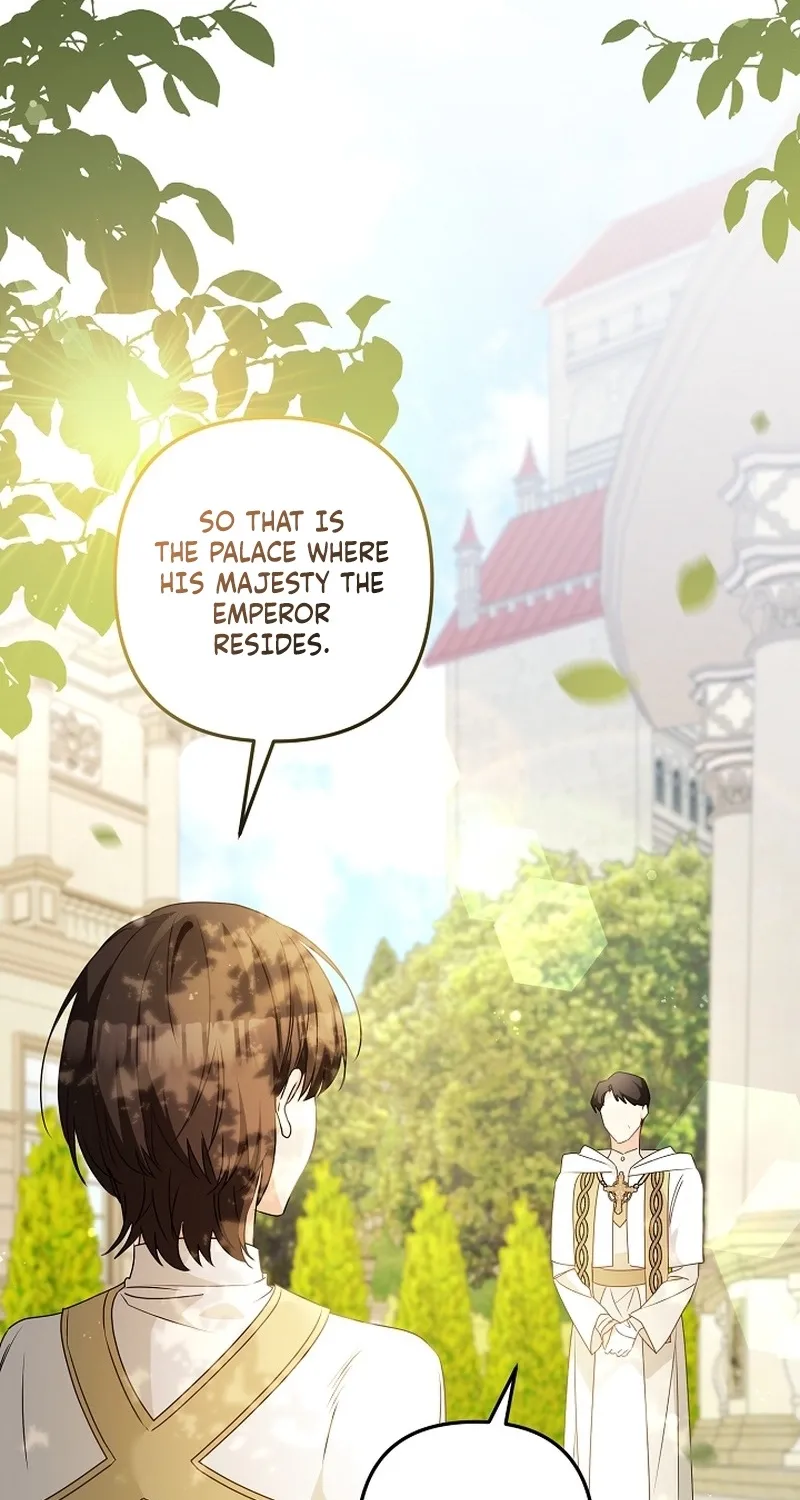 I Want a Divorce, Please Stop Obsessing Over Me! Chapter 21 page 2 - 