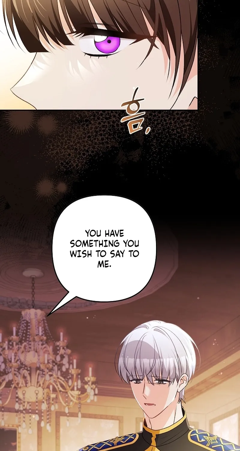 I Want a Divorce, Please Stop Obsessing Over Me! Chapter 21 page 102 - 