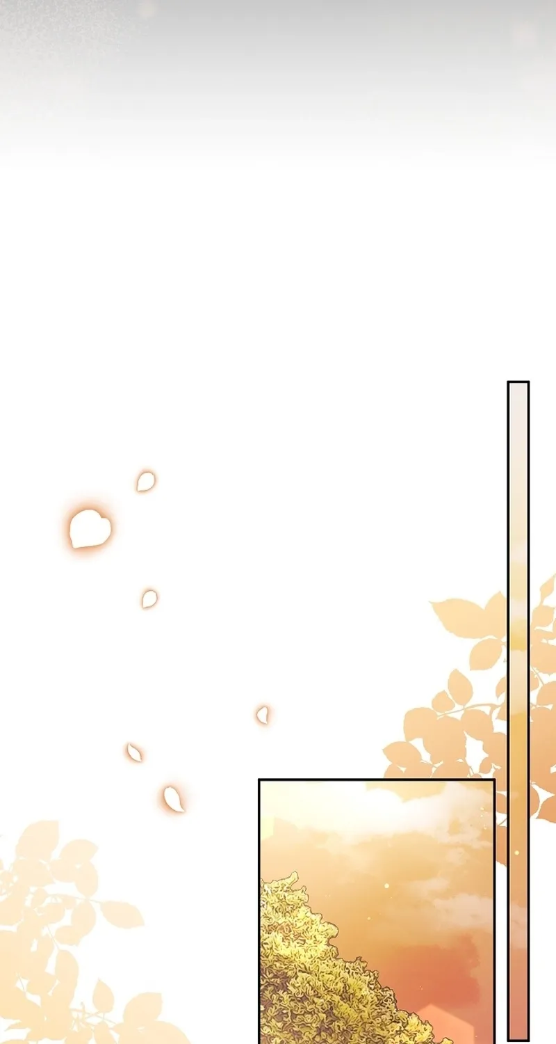 I Want a Divorce, Please Stop Obsessing Over Me! Chapter 21 page 105 - 