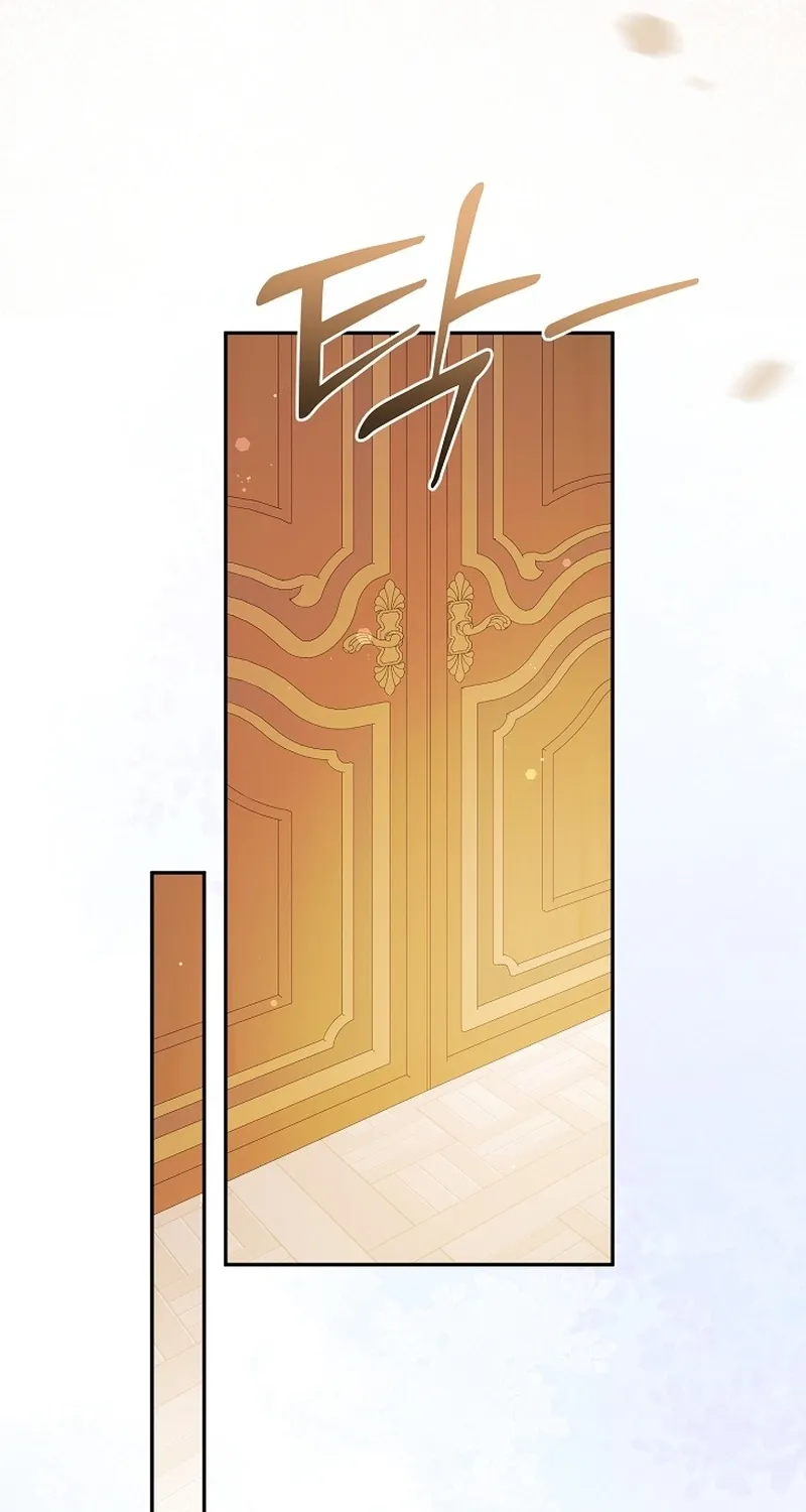 I Want a Divorce, Please Stop Obsessing Over Me! Chapter 21 page 62 - 