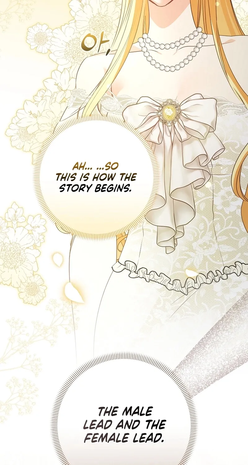 I Want a Divorce, Please Stop Obsessing Over Me! Chapter 23 page 7 - 