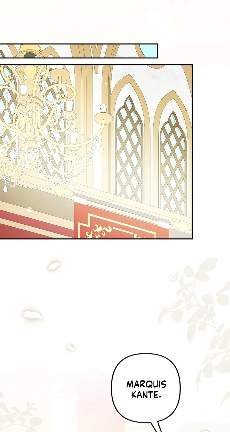 I Want a Divorce, Please Stop Obsessing Over Me! Chapter 23 page 76 - 