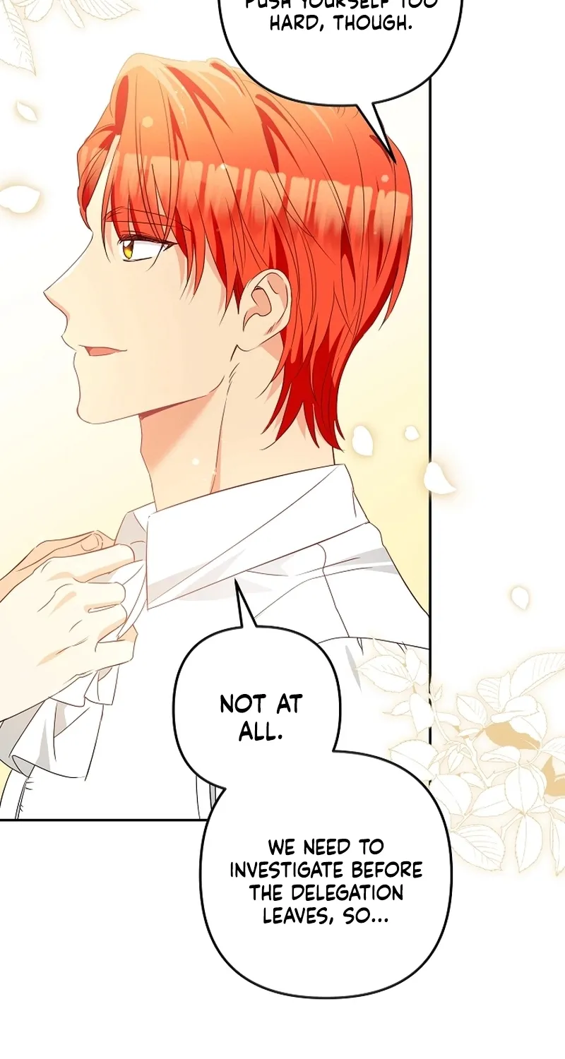 I Want a Divorce, Please Stop Obsessing Over Me! Chapter 24 page 49 - 
