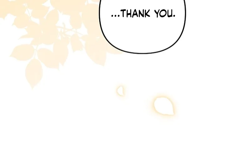 I Want a Divorce, Please Stop Obsessing Over Me! Chapter 24 page 83 - 