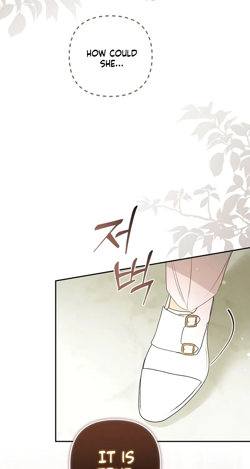 I Want a Divorce, Please Stop Obsessing Over Me! Chapter 24 page 10 - 