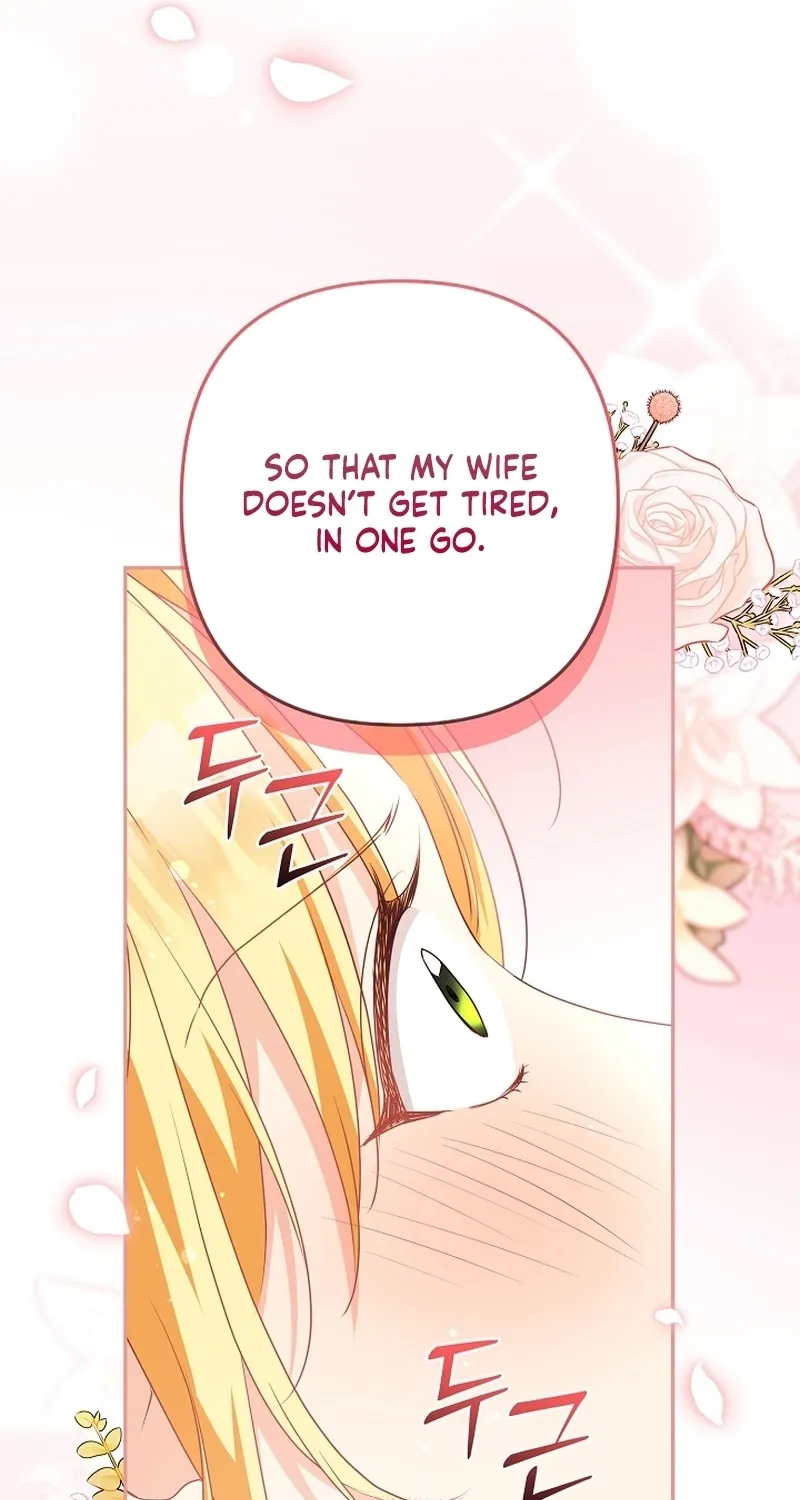 I Want a Divorce, Please Stop Obsessing Over Me! Chapter 25 page 72 - 