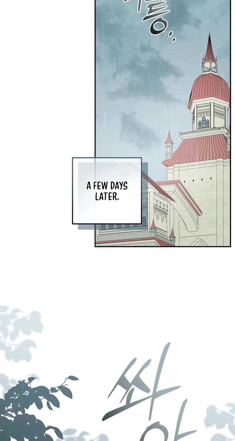 I Want a Divorce, Please Stop Obsessing Over Me! Chapter 25 page 83 - 