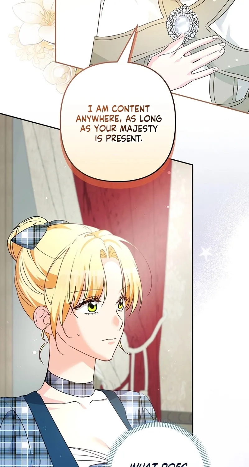 I Want a Divorce, Please Stop Obsessing Over Me! Chapter 25 page 90 - 