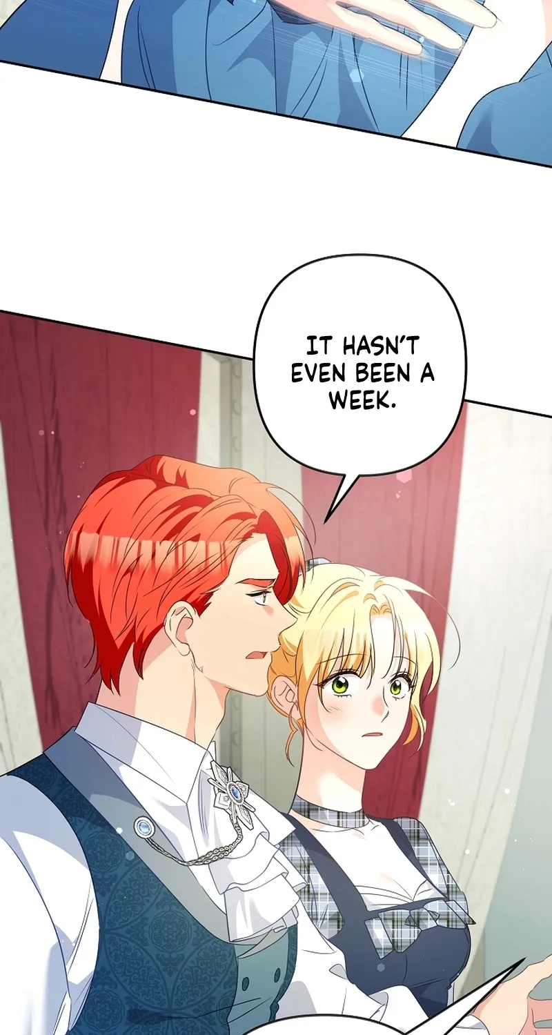 I Want a Divorce, Please Stop Obsessing Over Me! Chapter 25 page 99 - 
