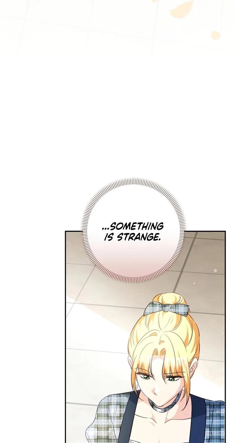I Want a Divorce, Please Stop Obsessing Over Me! Chapter 26 page 47 - 