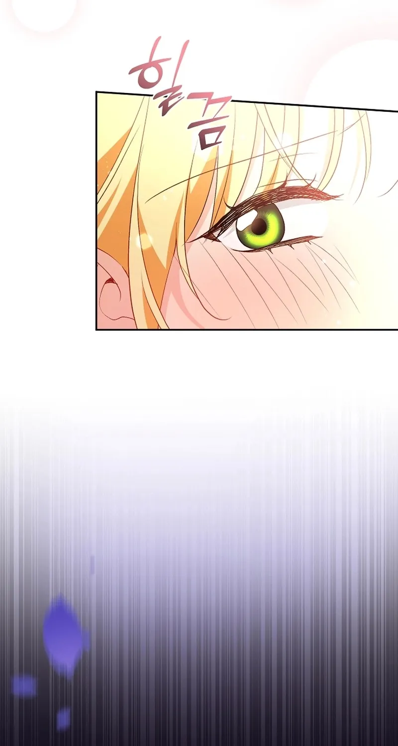 I Want a Divorce, Please Stop Obsessing Over Me! Chapter 27 page 19 - 