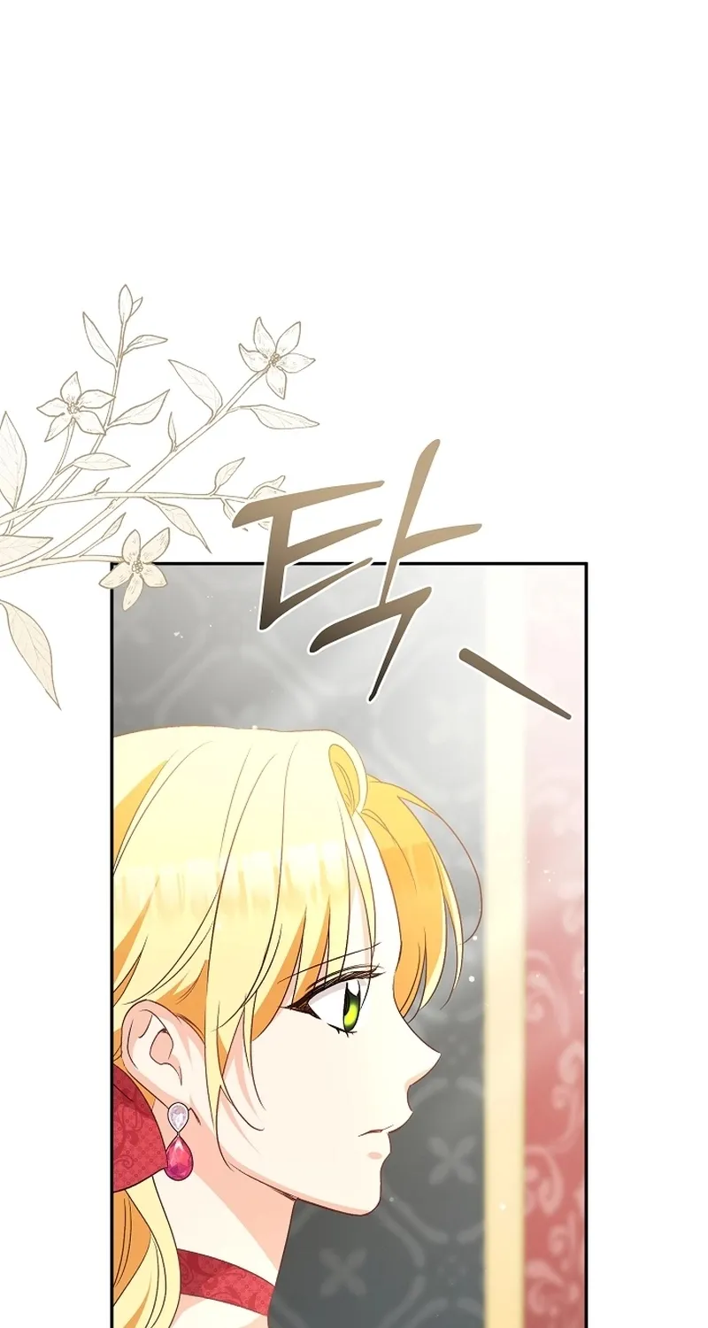I Want a Divorce, Please Stop Obsessing Over Me! Chapter 27 page 25 - 