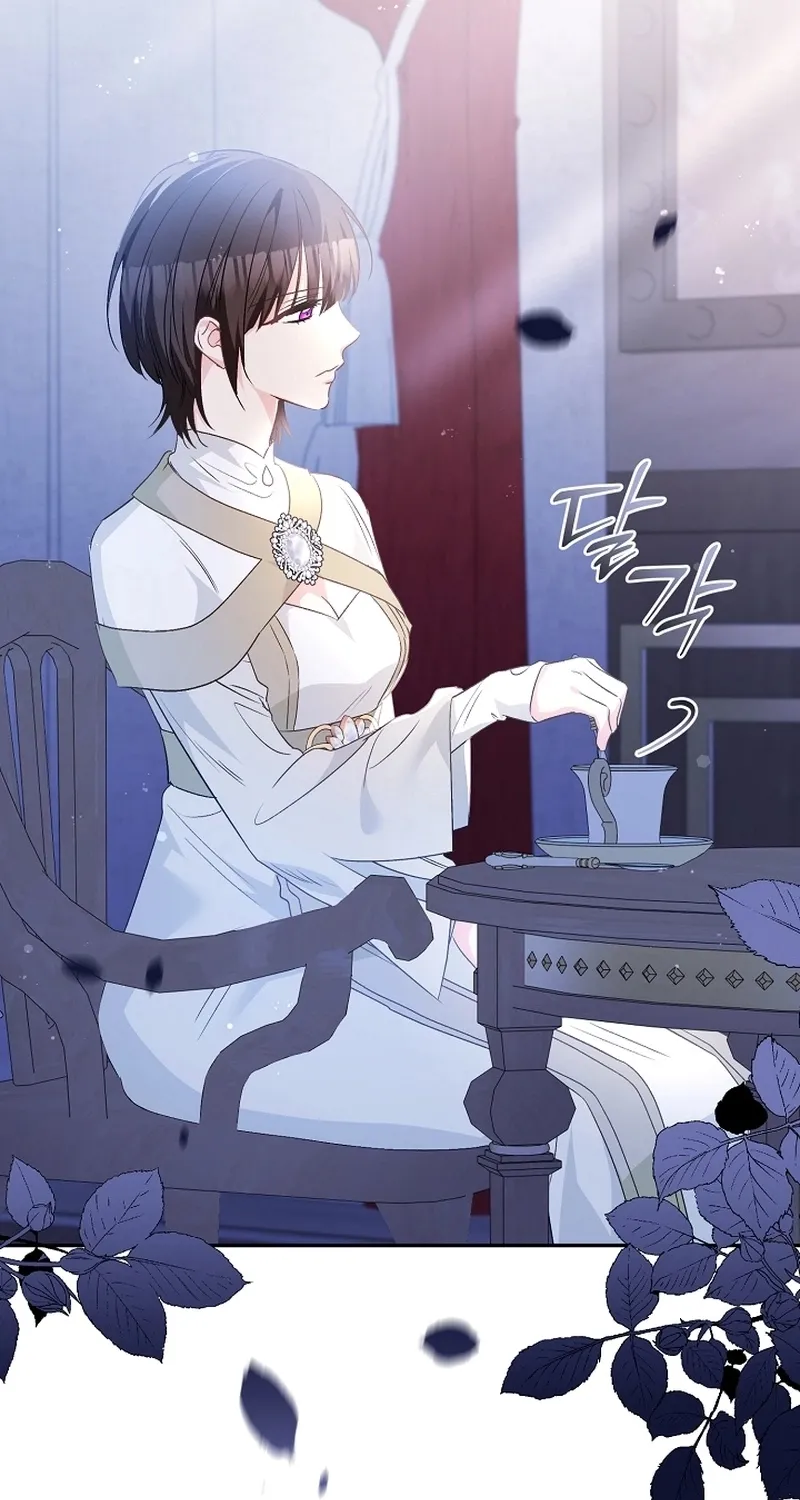 I Want a Divorce, Please Stop Obsessing Over Me! Chapter 27 page 50 - 