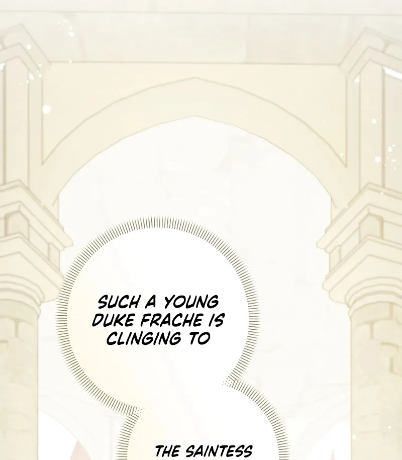 I Want a Divorce, Please Stop Obsessing Over Me! Chapter 27 page 88 - 