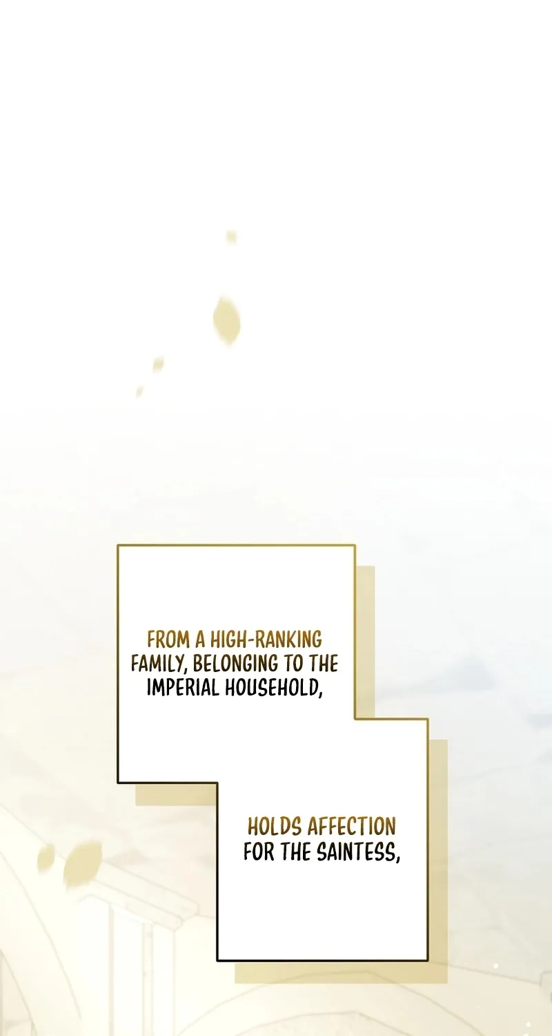 I Want a Divorce, Please Stop Obsessing Over Me! Chapter 27 page 90 - 