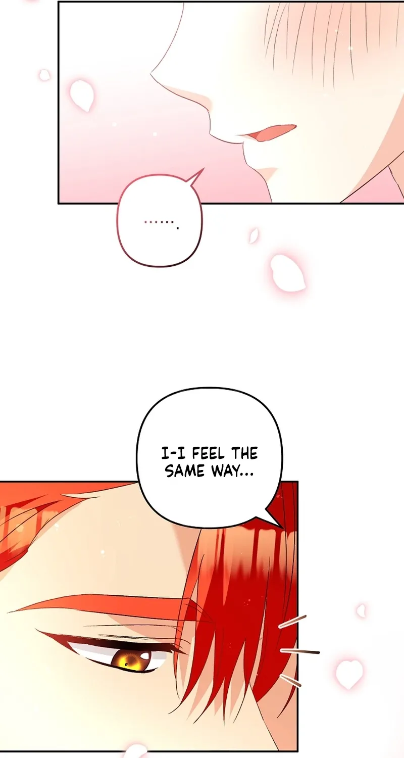 I Want a Divorce, Please Stop Obsessing Over Me! Chapter 28 page 41 - 