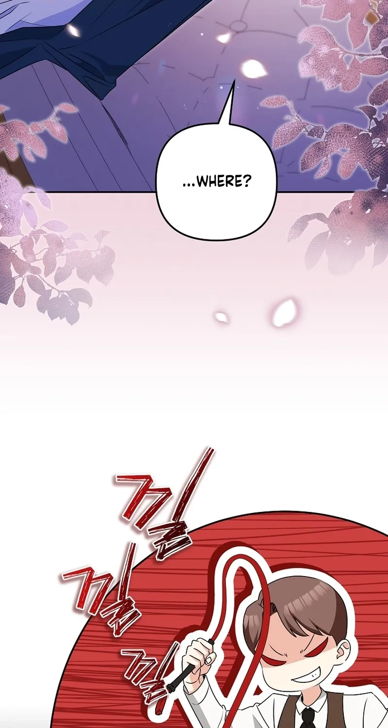I Want a Divorce, Please Stop Obsessing Over Me! Chapter 3 page 12 - 