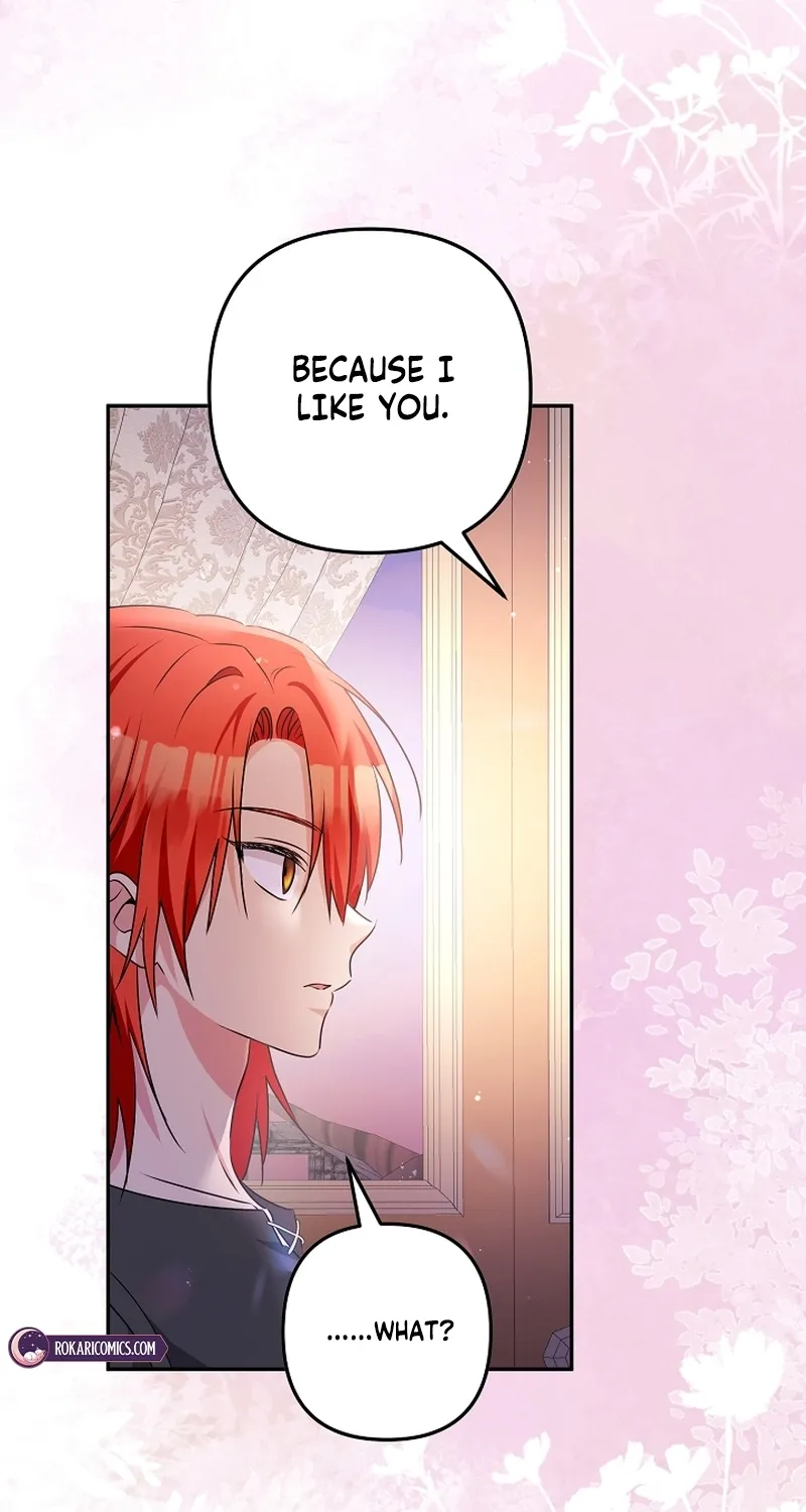 I Want a Divorce, Please Stop Obsessing Over Me! Chapter 3 page 17 - 