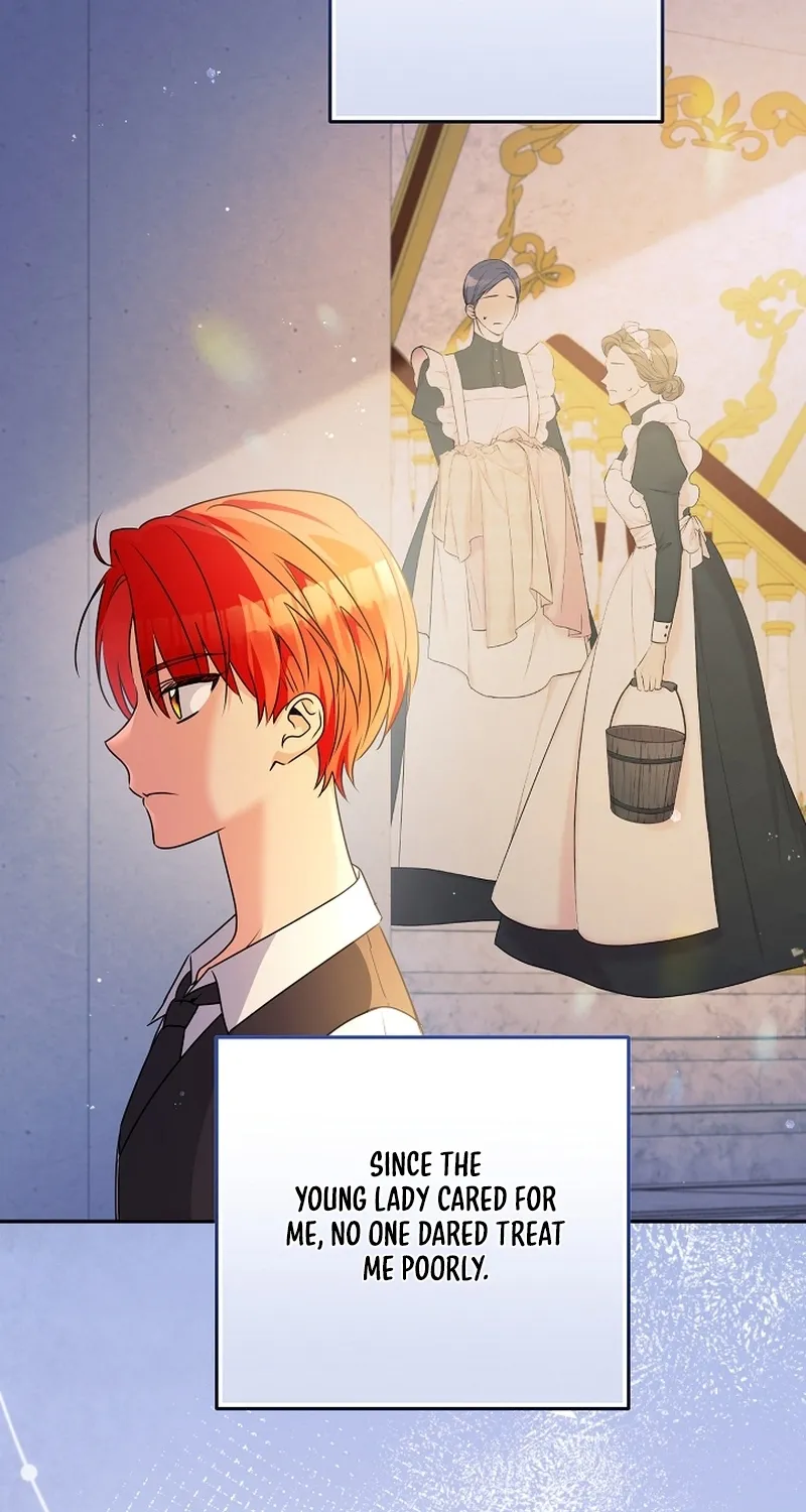 I Want a Divorce, Please Stop Obsessing Over Me! Chapter 3 page 31 - 