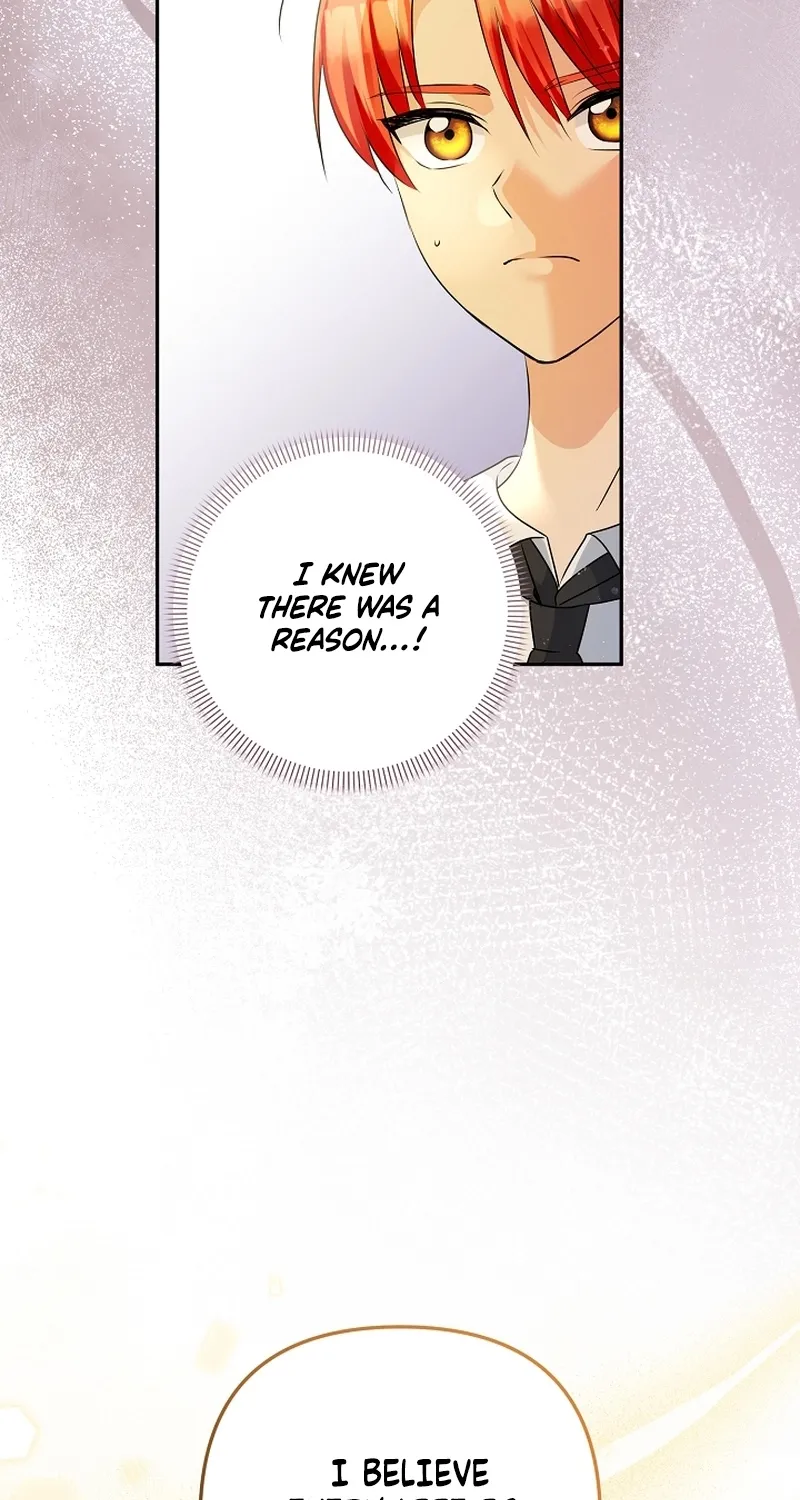 I Want a Divorce, Please Stop Obsessing Over Me! Chapter 3 page 45 - 