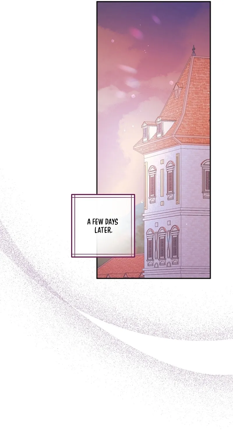 I Want a Divorce, Please Stop Obsessing Over Me! Chapter 3 page 54 - 