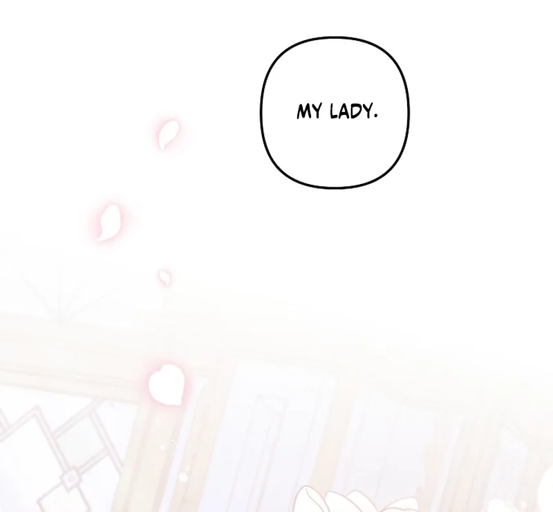 I Want a Divorce, Please Stop Obsessing Over Me! Chapter 3 page 99 - 
