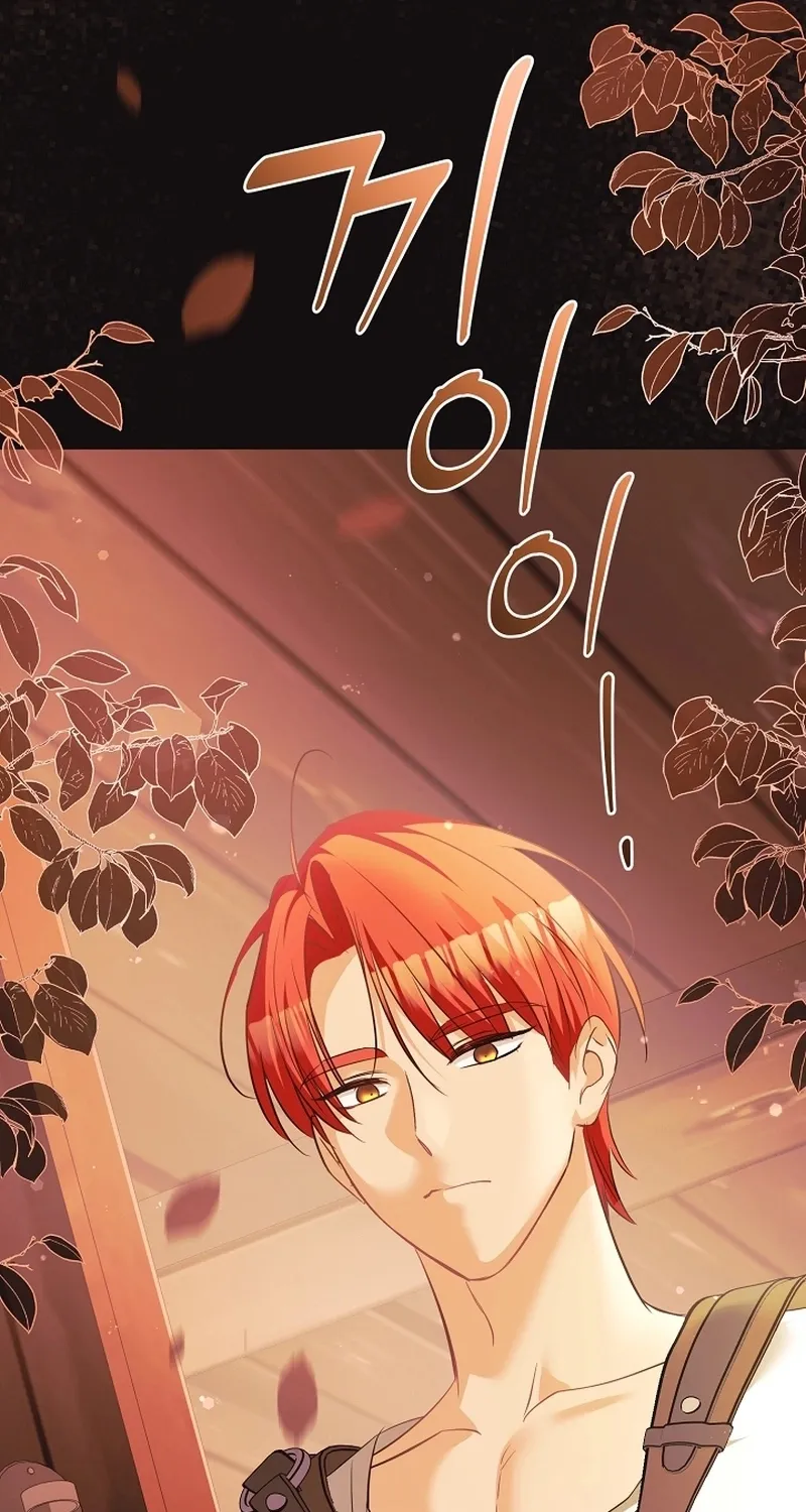 I Want a Divorce, Please Stop Obsessing Over Me! Chapter 31 page 21 - 
