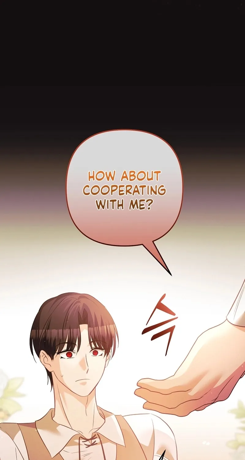 I Want a Divorce, Please Stop Obsessing Over Me! Chapter 31 page 33 - 