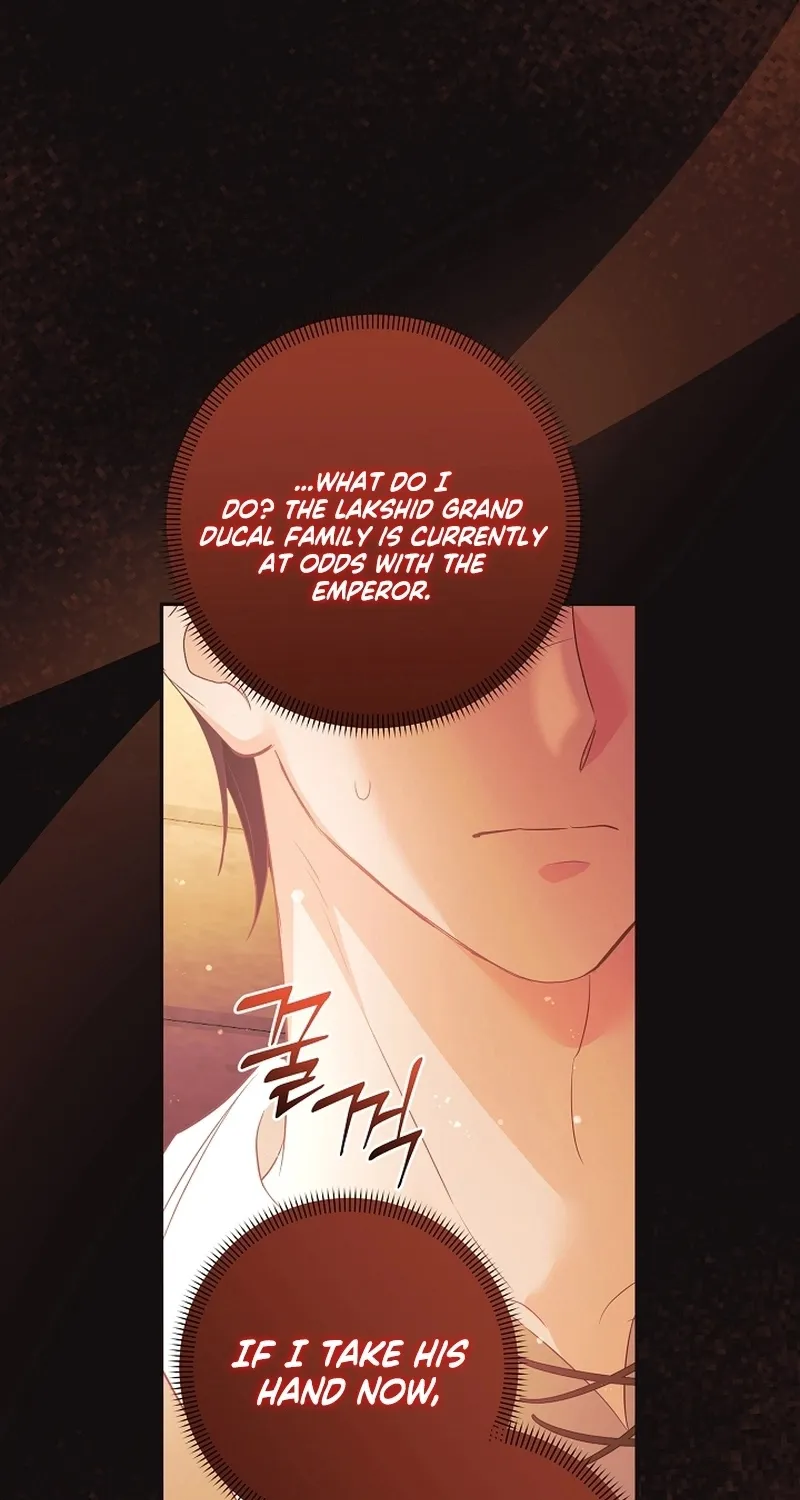I Want a Divorce, Please Stop Obsessing Over Me! Chapter 31 page 36 - 