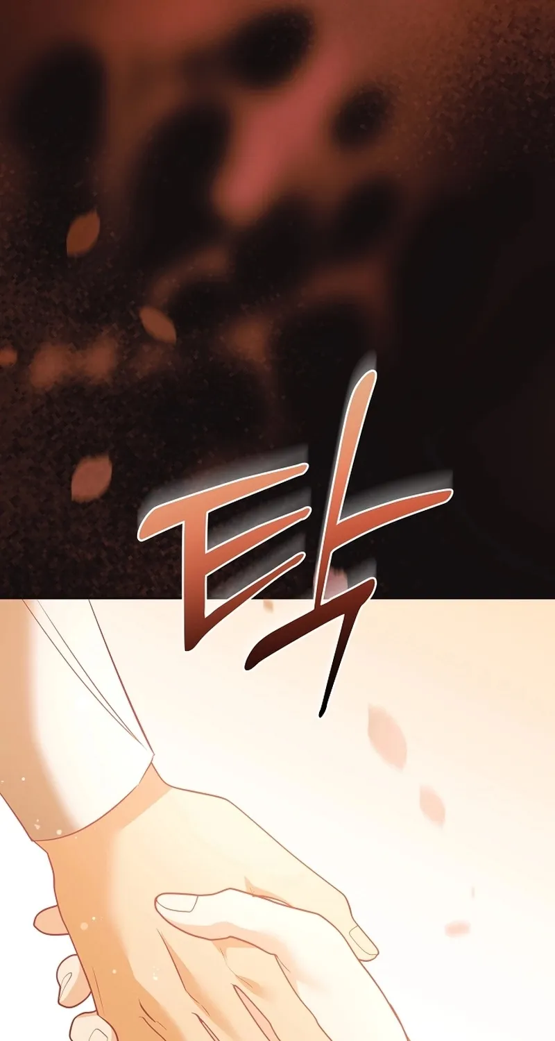 I Want a Divorce, Please Stop Obsessing Over Me! Chapter 31 page 38 - 