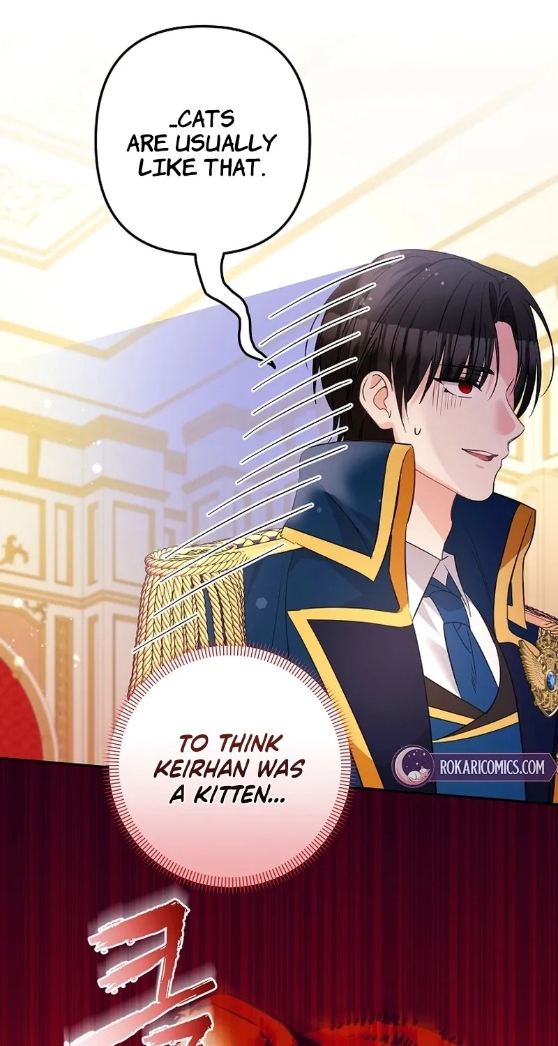 I Want a Divorce, Please Stop Obsessing Over Me! Chapter 31 page 64 - 
