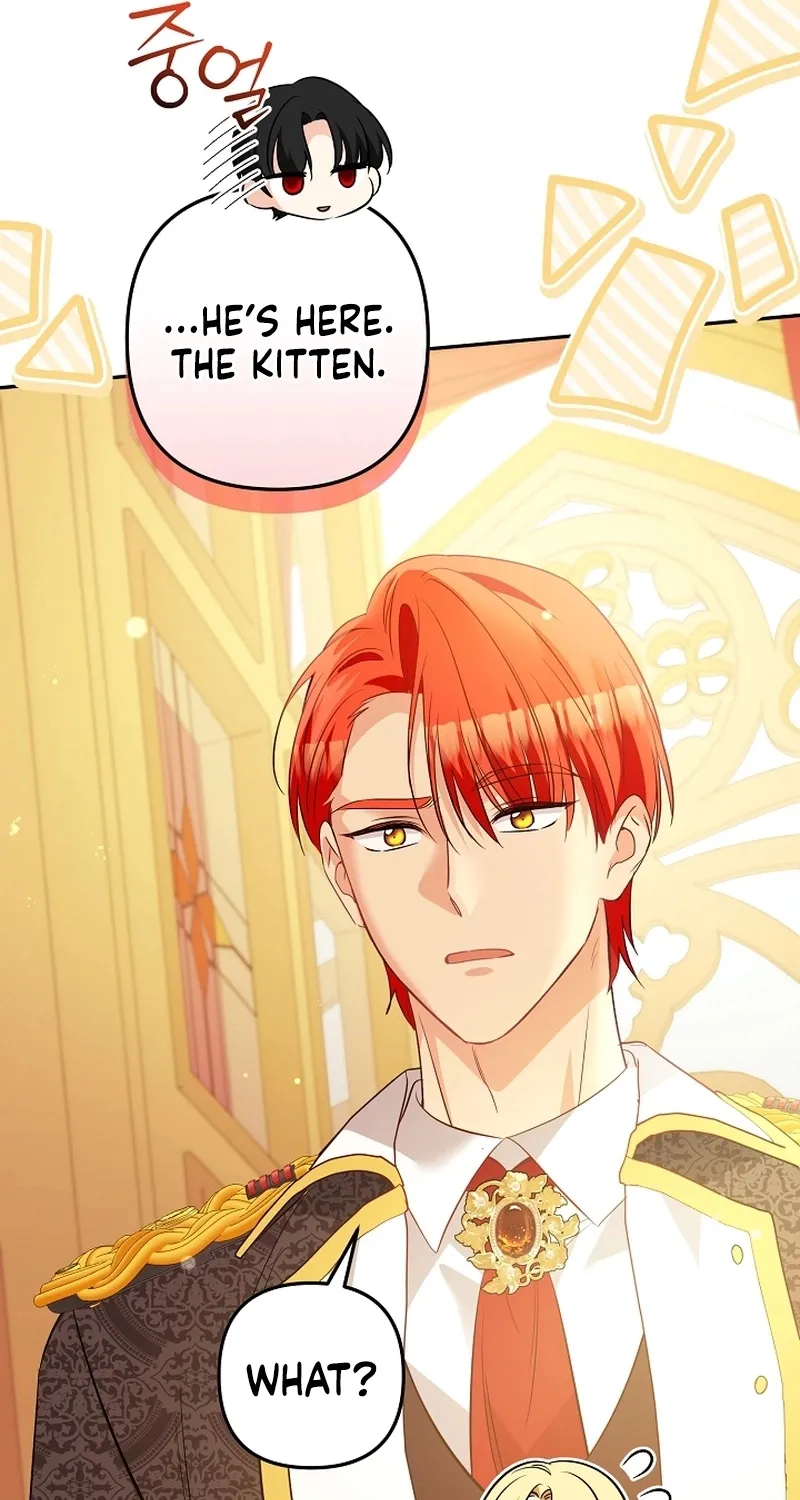 I Want a Divorce, Please Stop Obsessing Over Me! Chapter 31 page 68 - 